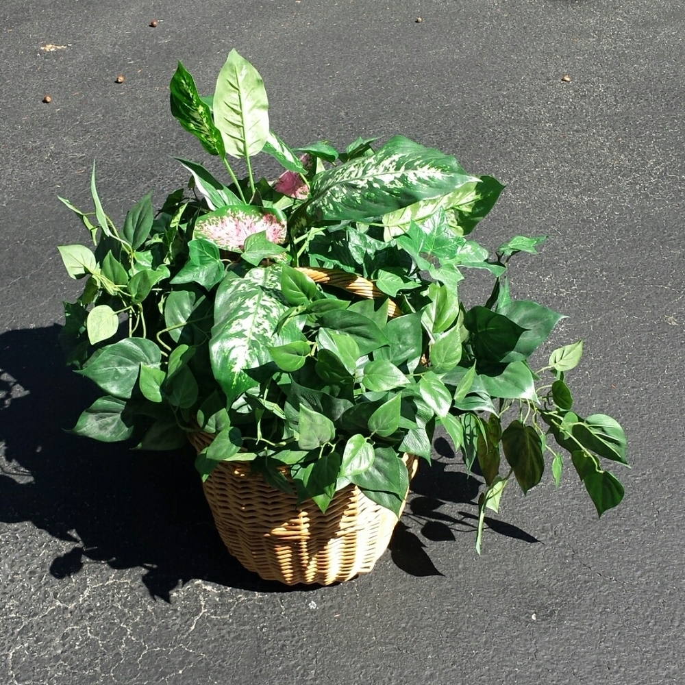 Faux plants in a wicker basket